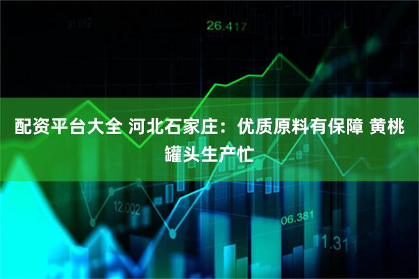 配资平台大全 河北石家庄：优质原料有保障 黄桃罐头生产忙